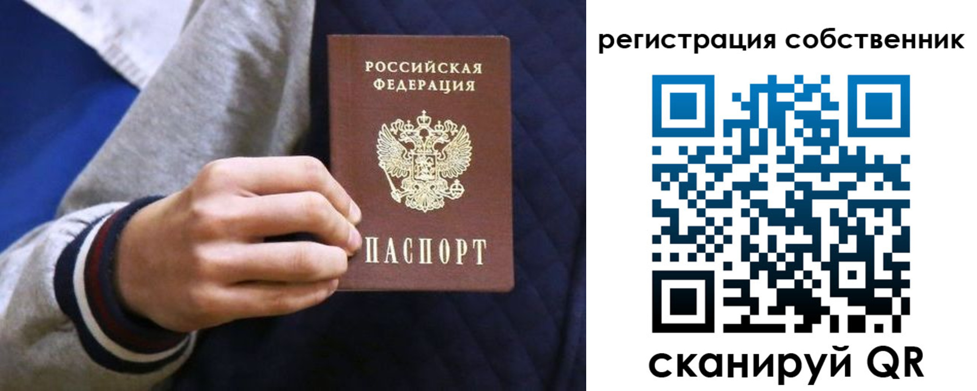 прописка поиск в Новосибирской области